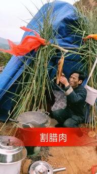 大西南小马资料,自然风光与人文历史的完美融合